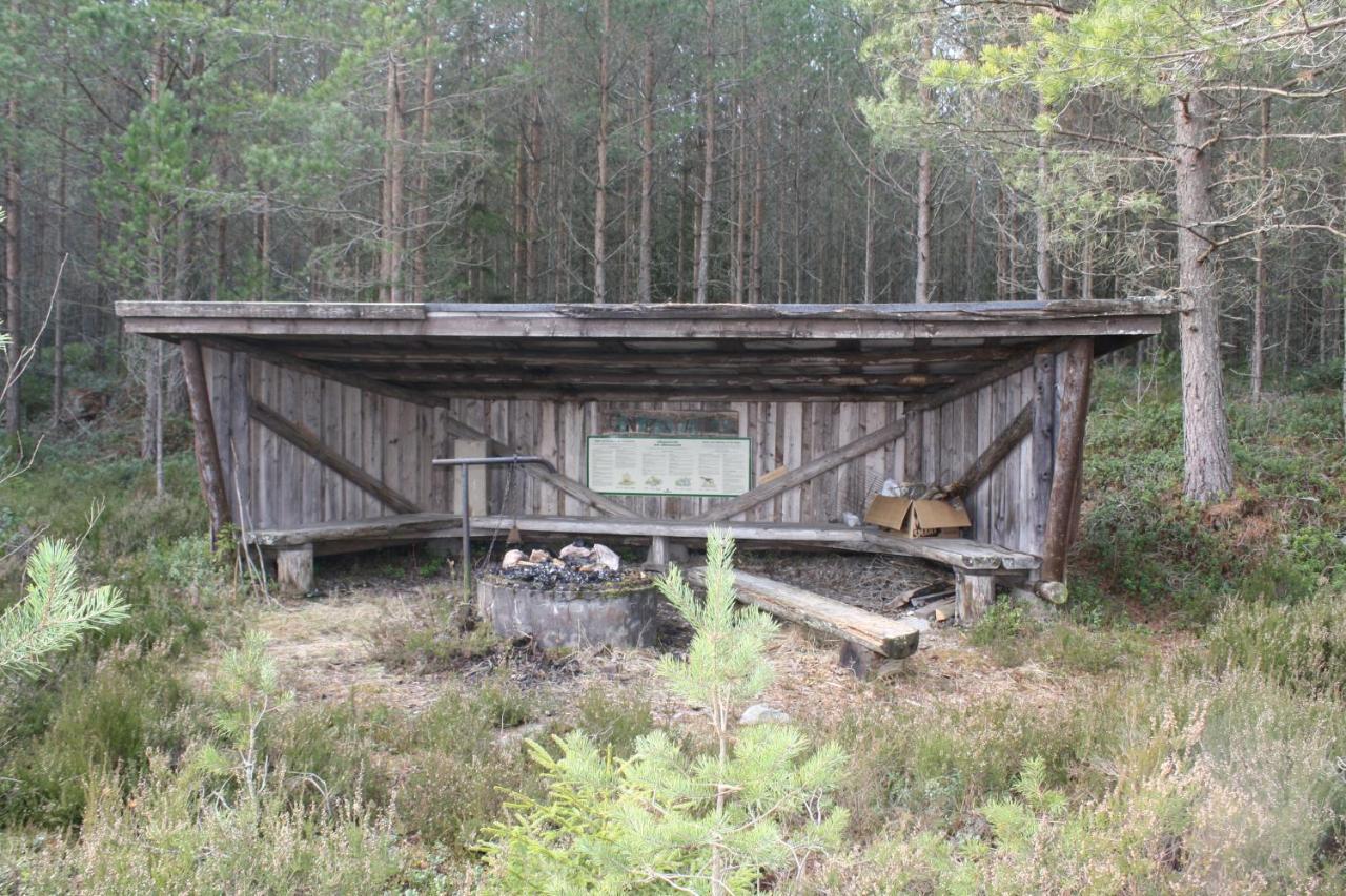 A Pousada The Sleepy Moose Rofors Exterior foto